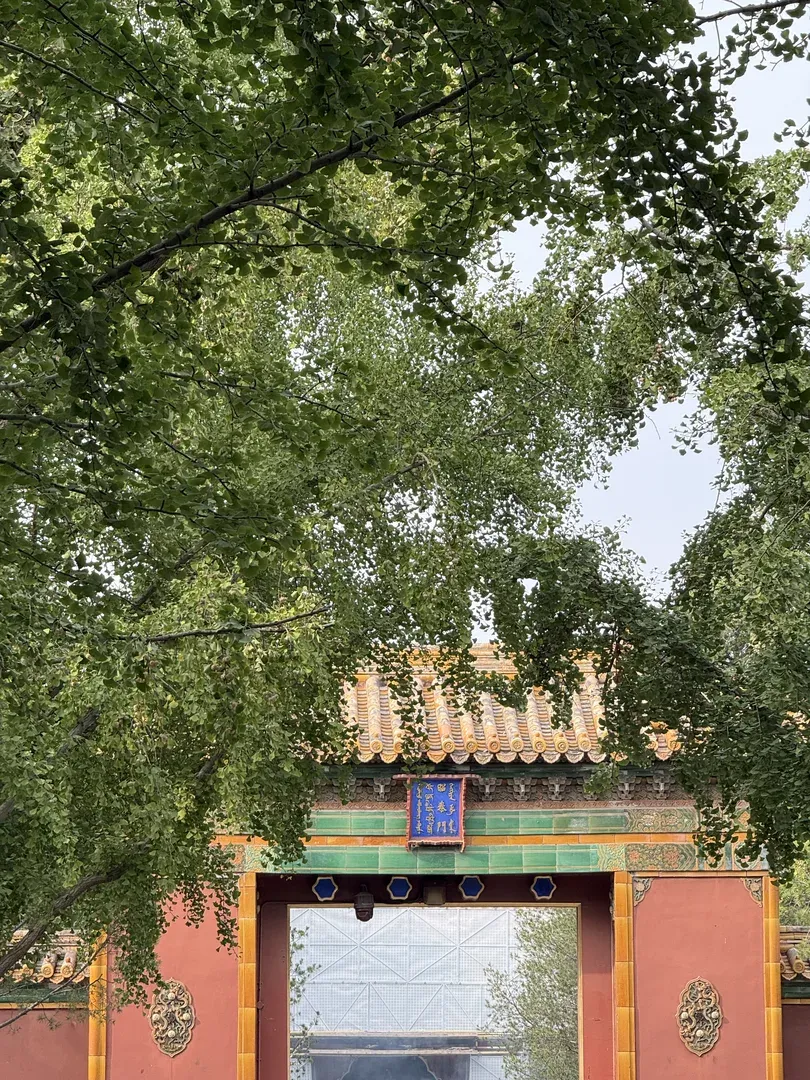 瞬间图片