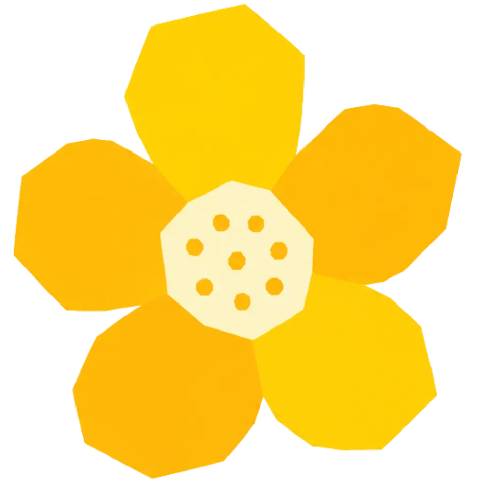 小曦的园子